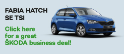 Business and Fleet