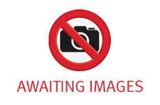 2019 Desire Red Seat Leon 5dr 1.5 TSI EVO, Petrol, Manual